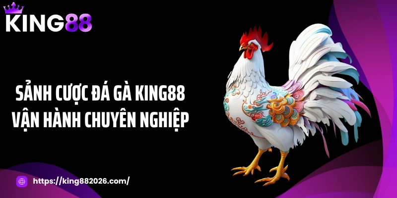 Sảnh bắn cá KING88 mang đến trải nghiệm chuyên nghiệp